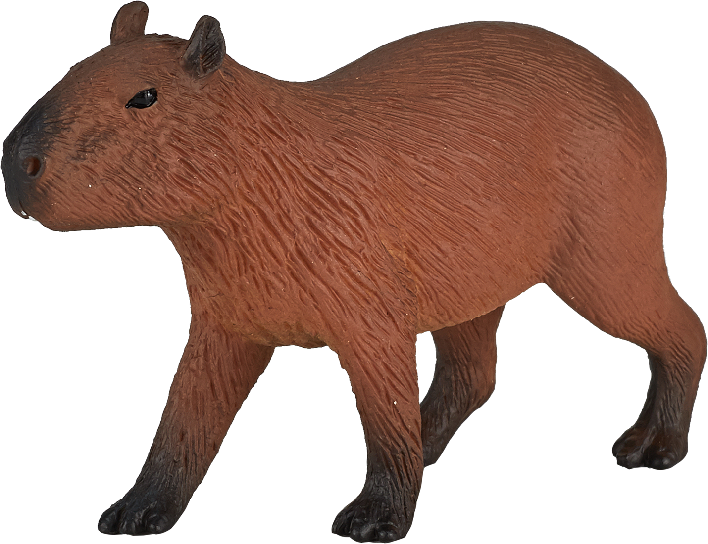 Poupées En Peluche Capybara Animaux Sauvages Jouets En Peluche