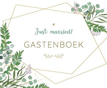 Deltas Just married Gastenboek