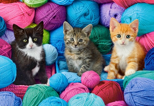 Castorland puzzel Kittens in a Yarn Store - 1000 stukjes